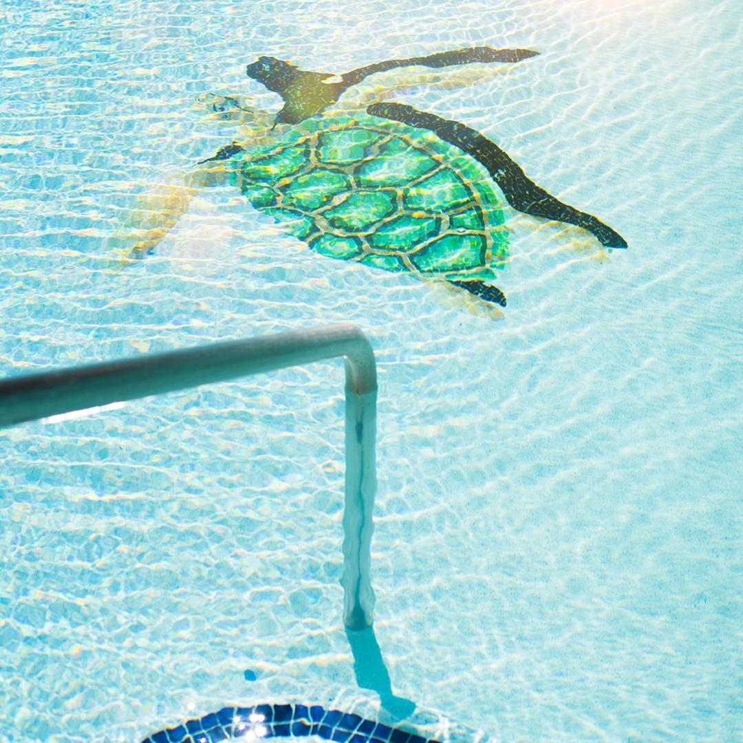 Sea Of Cortez Beach Club San Carlos Nuevo Guaymas Buitenkant foto